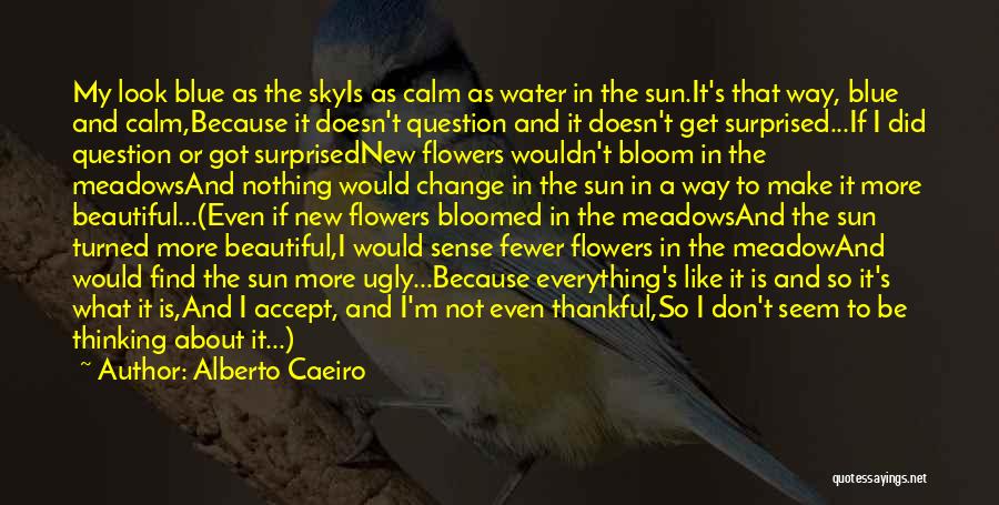 Alberto Caeiro Quotes: My Look Blue As The Skyis As Calm As Water In The Sun.it's That Way, Blue And Calm,because It Doesn't