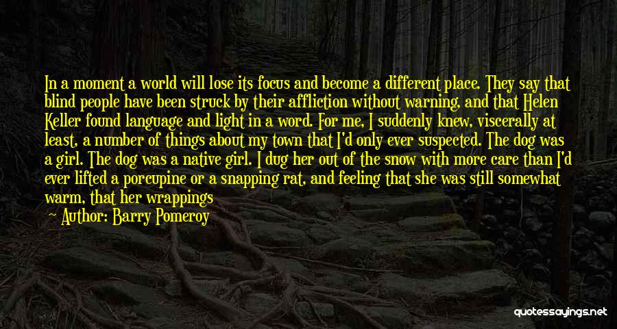 Barry Pomeroy Quotes: In A Moment A World Will Lose Its Focus And Become A Different Place. They Say That Blind People Have