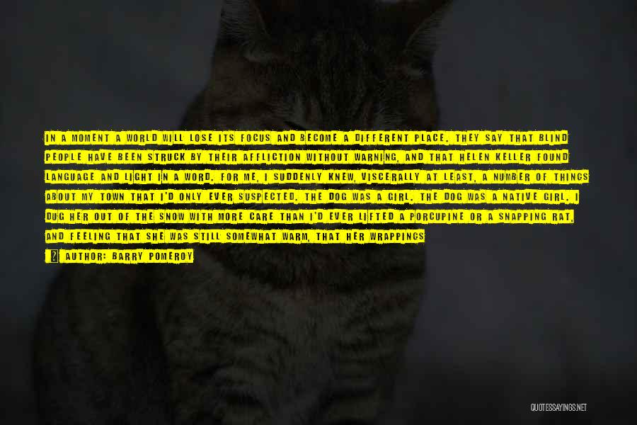Barry Pomeroy Quotes: In A Moment A World Will Lose Its Focus And Become A Different Place. They Say That Blind People Have