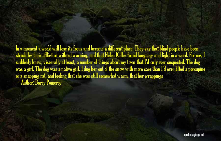 Barry Pomeroy Quotes: In A Moment A World Will Lose Its Focus And Become A Different Place. They Say That Blind People Have