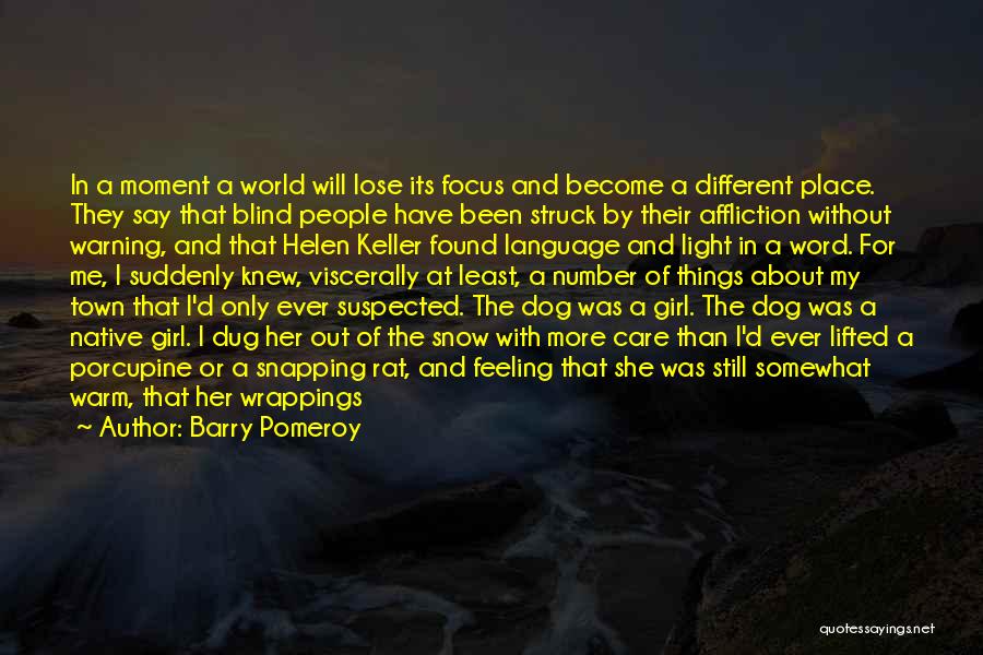 Barry Pomeroy Quotes: In A Moment A World Will Lose Its Focus And Become A Different Place. They Say That Blind People Have