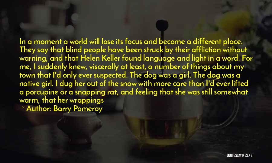 Barry Pomeroy Quotes: In A Moment A World Will Lose Its Focus And Become A Different Place. They Say That Blind People Have
