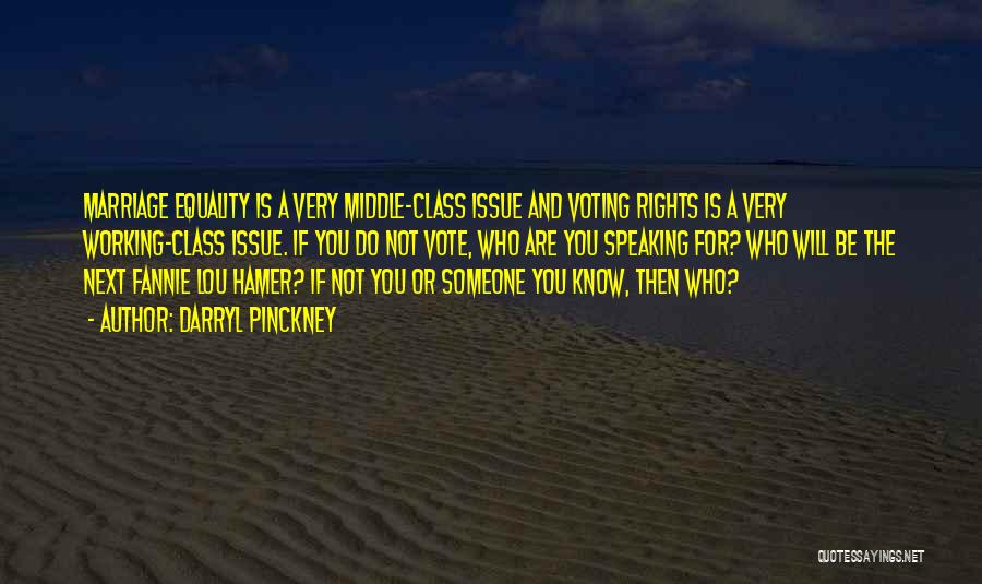 Darryl Pinckney Quotes: Marriage Equality Is A Very Middle-class Issue And Voting Rights Is A Very Working-class Issue. If You Do Not Vote,