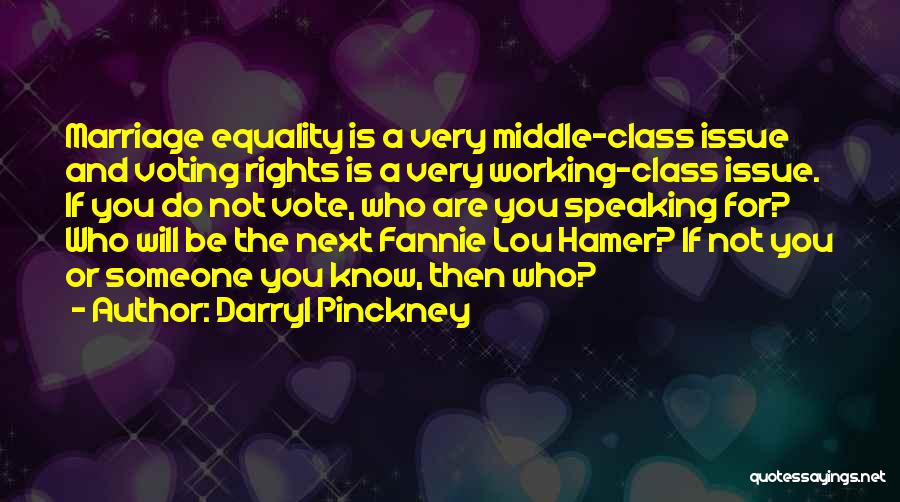 Darryl Pinckney Quotes: Marriage Equality Is A Very Middle-class Issue And Voting Rights Is A Very Working-class Issue. If You Do Not Vote,