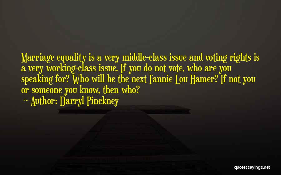 Darryl Pinckney Quotes: Marriage Equality Is A Very Middle-class Issue And Voting Rights Is A Very Working-class Issue. If You Do Not Vote,