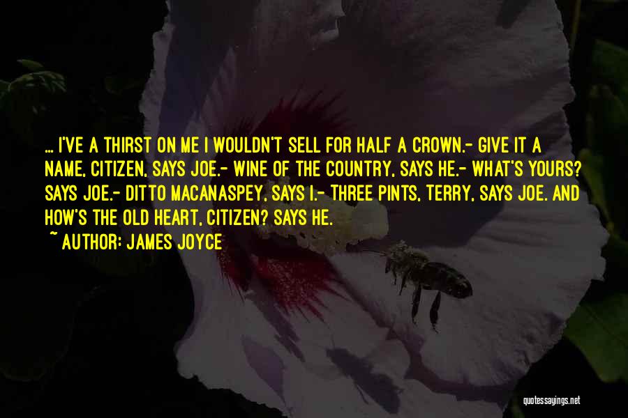 James Joyce Quotes: ... I've A Thirst On Me I Wouldn't Sell For Half A Crown.- Give It A Name, Citizen, Says Joe.-