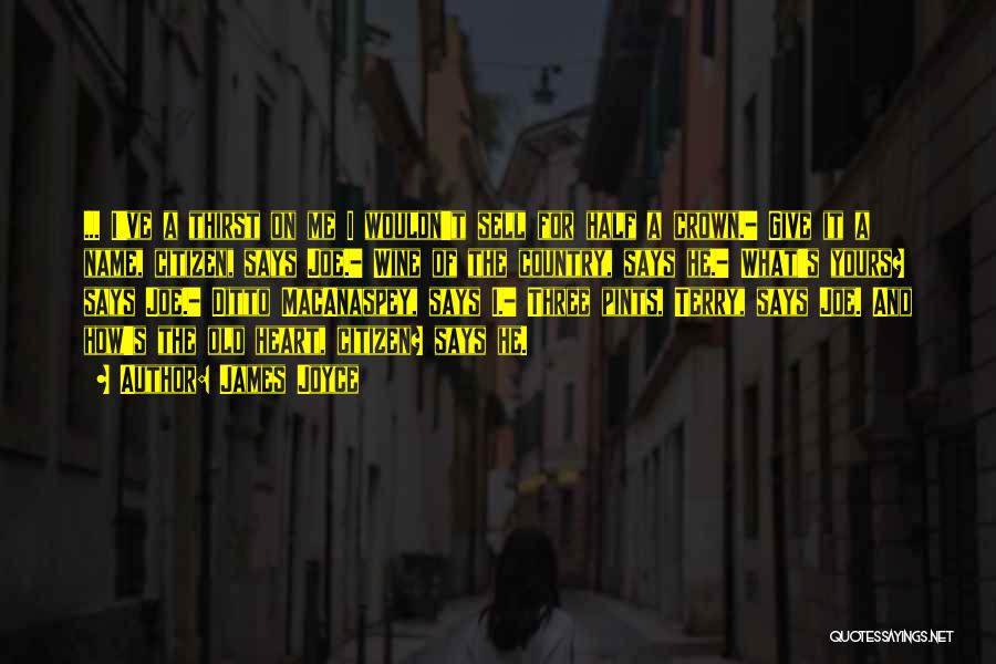 James Joyce Quotes: ... I've A Thirst On Me I Wouldn't Sell For Half A Crown.- Give It A Name, Citizen, Says Joe.-