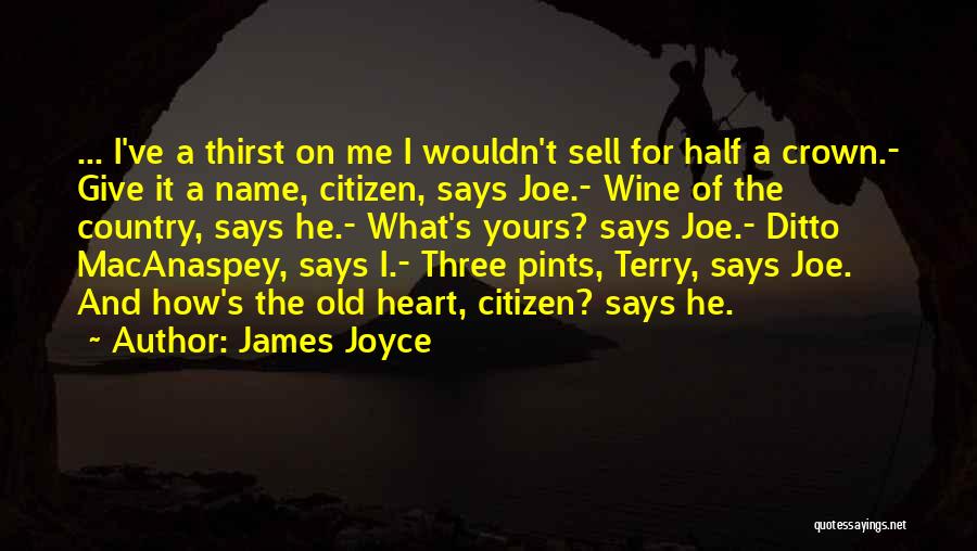 James Joyce Quotes: ... I've A Thirst On Me I Wouldn't Sell For Half A Crown.- Give It A Name, Citizen, Says Joe.-