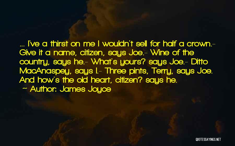 James Joyce Quotes: ... I've A Thirst On Me I Wouldn't Sell For Half A Crown.- Give It A Name, Citizen, Says Joe.-