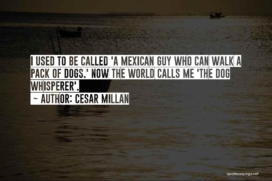 Cesar Millan Quotes: I Used To Be Called 'a Mexican Guy Who Can Walk A Pack Of Dogs.' Now The World Calls Me