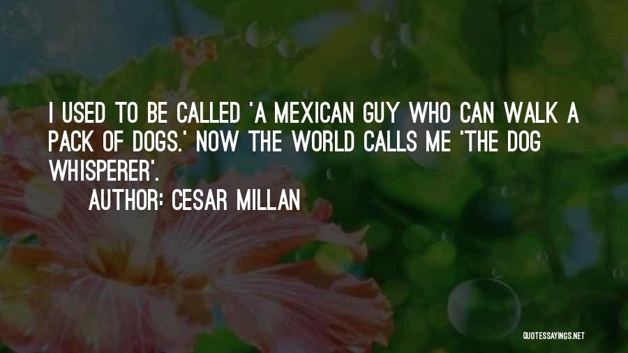 Cesar Millan Quotes: I Used To Be Called 'a Mexican Guy Who Can Walk A Pack Of Dogs.' Now The World Calls Me