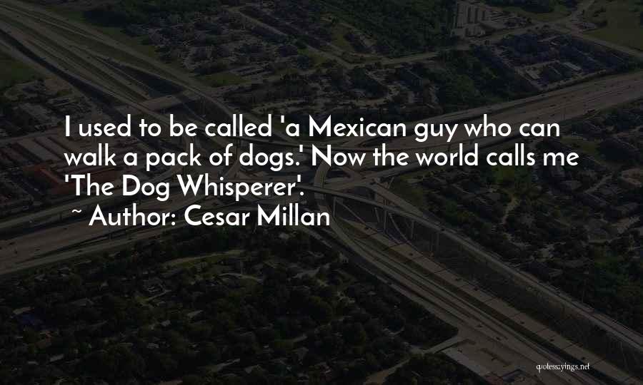 Cesar Millan Quotes: I Used To Be Called 'a Mexican Guy Who Can Walk A Pack Of Dogs.' Now The World Calls Me