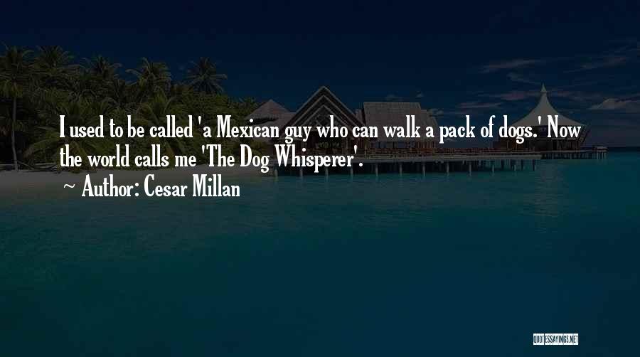 Cesar Millan Quotes: I Used To Be Called 'a Mexican Guy Who Can Walk A Pack Of Dogs.' Now The World Calls Me