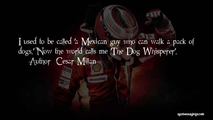 Cesar Millan Quotes: I Used To Be Called 'a Mexican Guy Who Can Walk A Pack Of Dogs.' Now The World Calls Me