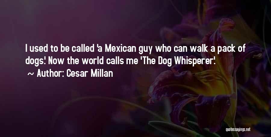 Cesar Millan Quotes: I Used To Be Called 'a Mexican Guy Who Can Walk A Pack Of Dogs.' Now The World Calls Me