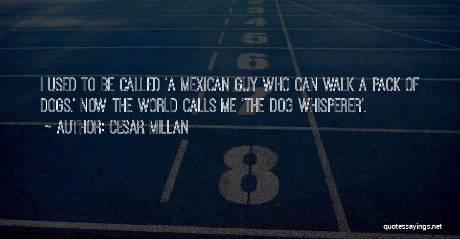 Cesar Millan Quotes: I Used To Be Called 'a Mexican Guy Who Can Walk A Pack Of Dogs.' Now The World Calls Me