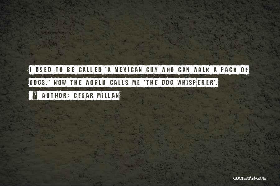 Cesar Millan Quotes: I Used To Be Called 'a Mexican Guy Who Can Walk A Pack Of Dogs.' Now The World Calls Me