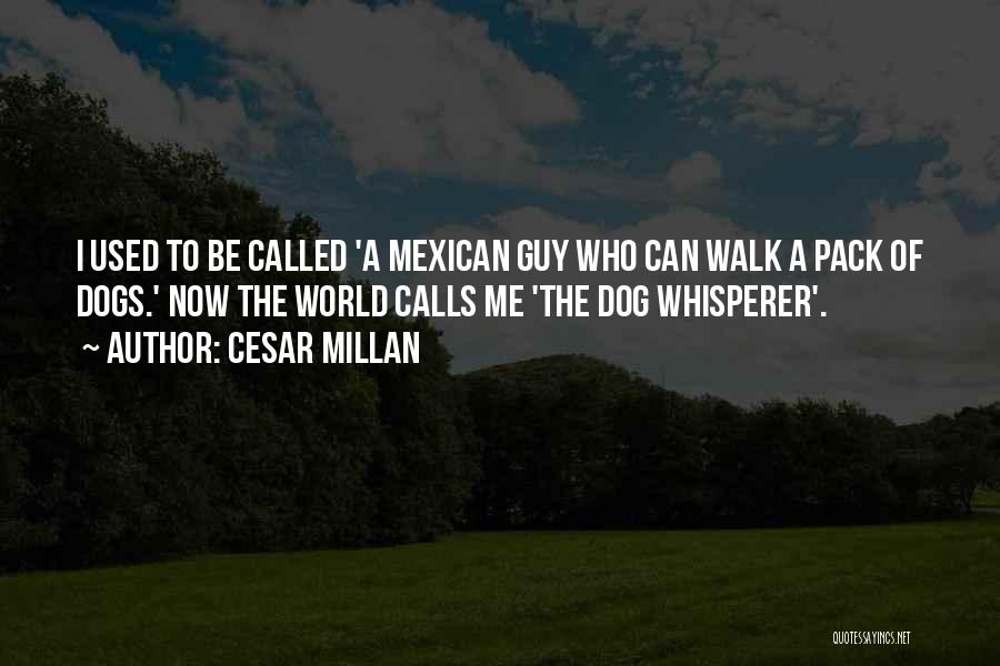 Cesar Millan Quotes: I Used To Be Called 'a Mexican Guy Who Can Walk A Pack Of Dogs.' Now The World Calls Me