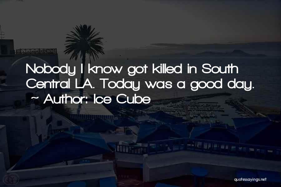 Ice Cube Quotes: Nobody I Know Got Killed In South Central La. Today Was A Good Day.