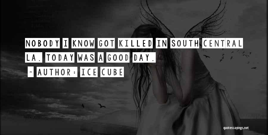 Ice Cube Quotes: Nobody I Know Got Killed In South Central La. Today Was A Good Day.
