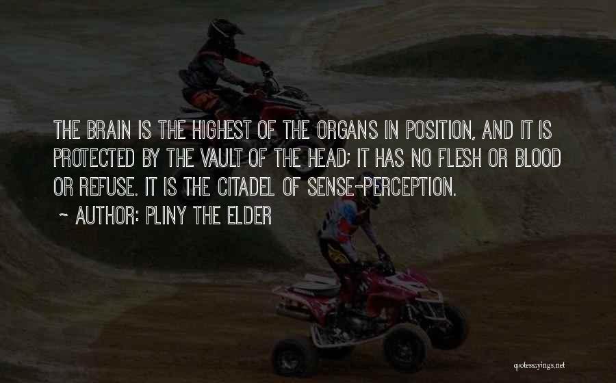 Pliny The Elder Quotes: The Brain Is The Highest Of The Organs In Position, And It Is Protected By The Vault Of The Head;