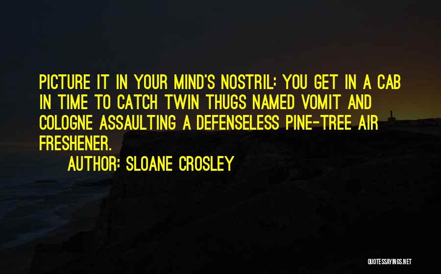 Sloane Crosley Quotes: Picture It In Your Mind's Nostril: You Get In A Cab In Time To Catch Twin Thugs Named Vomit And