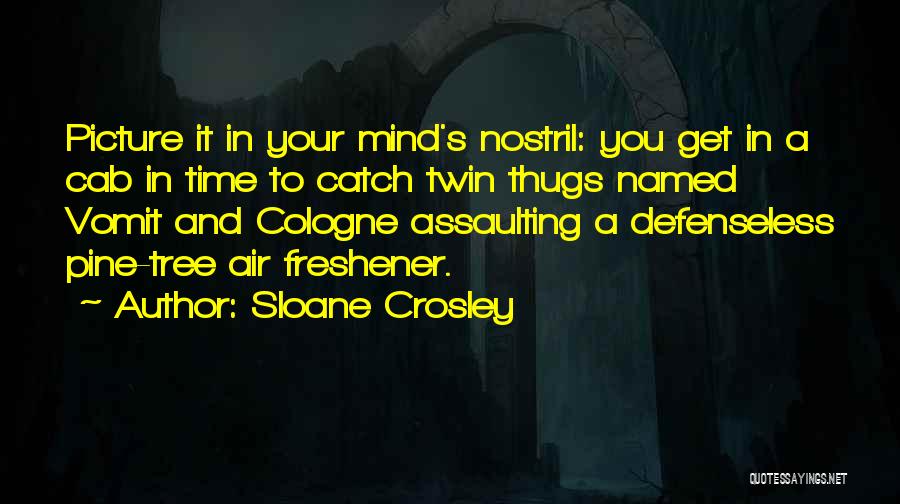 Sloane Crosley Quotes: Picture It In Your Mind's Nostril: You Get In A Cab In Time To Catch Twin Thugs Named Vomit And