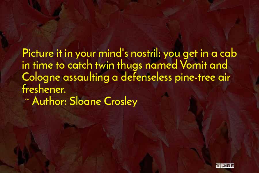 Sloane Crosley Quotes: Picture It In Your Mind's Nostril: You Get In A Cab In Time To Catch Twin Thugs Named Vomit And