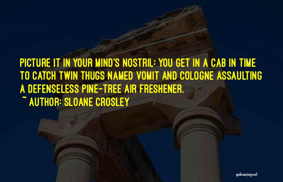 Sloane Crosley Quotes: Picture It In Your Mind's Nostril: You Get In A Cab In Time To Catch Twin Thugs Named Vomit And