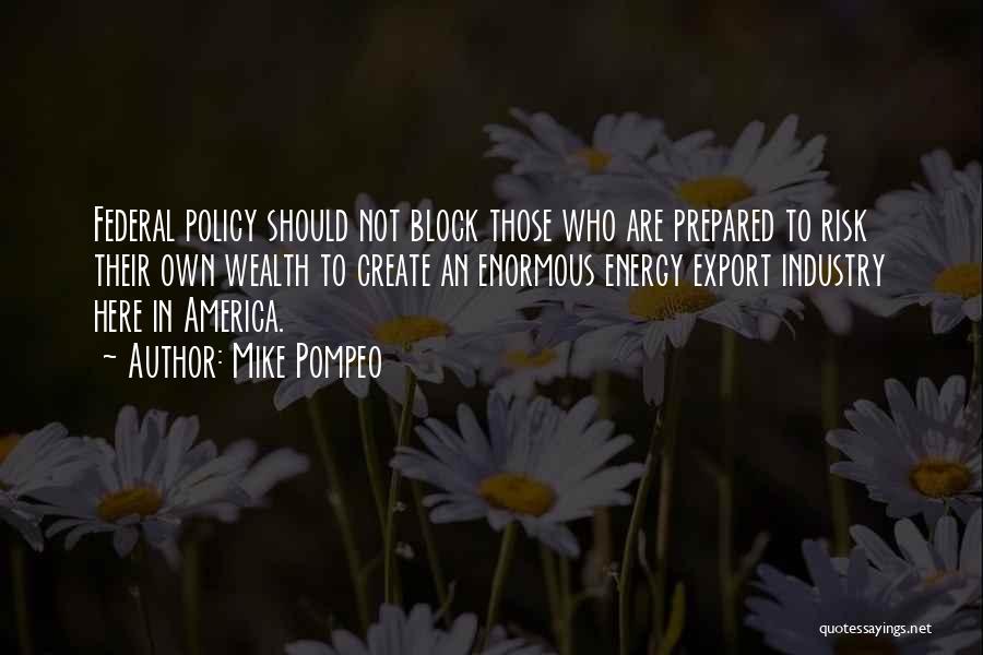 Mike Pompeo Quotes: Federal Policy Should Not Block Those Who Are Prepared To Risk Their Own Wealth To Create An Enormous Energy Export