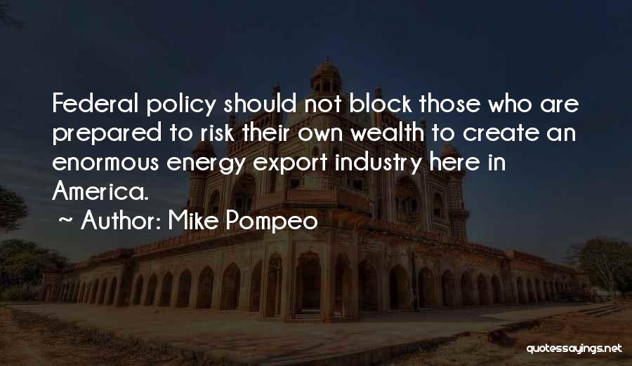 Mike Pompeo Quotes: Federal Policy Should Not Block Those Who Are Prepared To Risk Their Own Wealth To Create An Enormous Energy Export