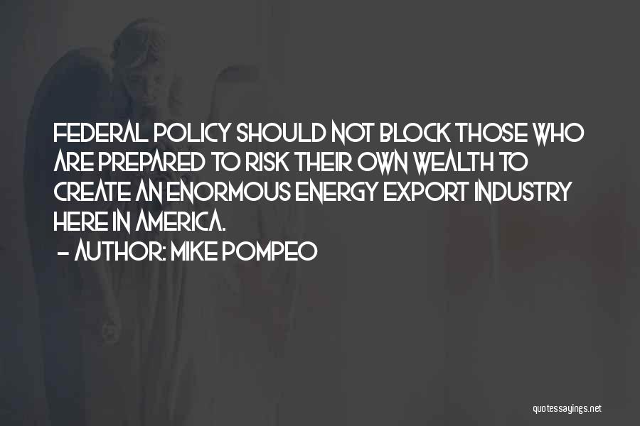 Mike Pompeo Quotes: Federal Policy Should Not Block Those Who Are Prepared To Risk Their Own Wealth To Create An Enormous Energy Export