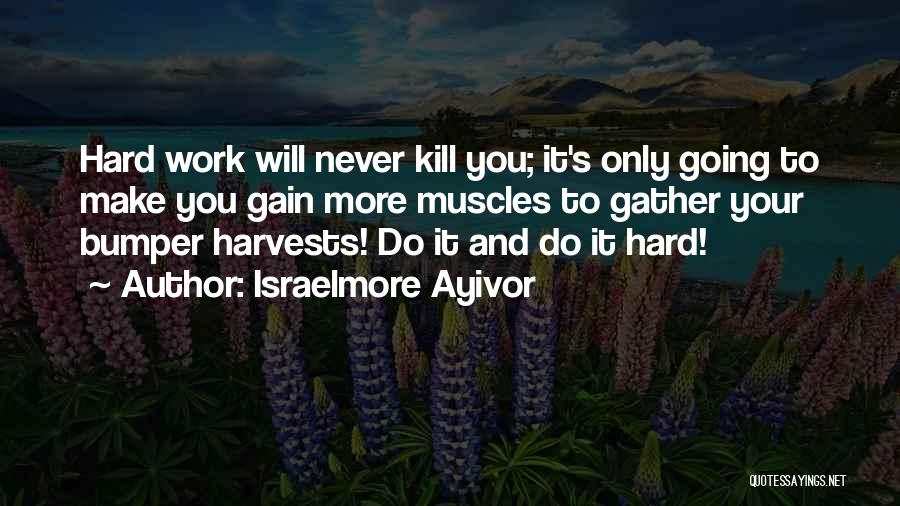 Israelmore Ayivor Quotes: Hard Work Will Never Kill You; It's Only Going To Make You Gain More Muscles To Gather Your Bumper Harvests!