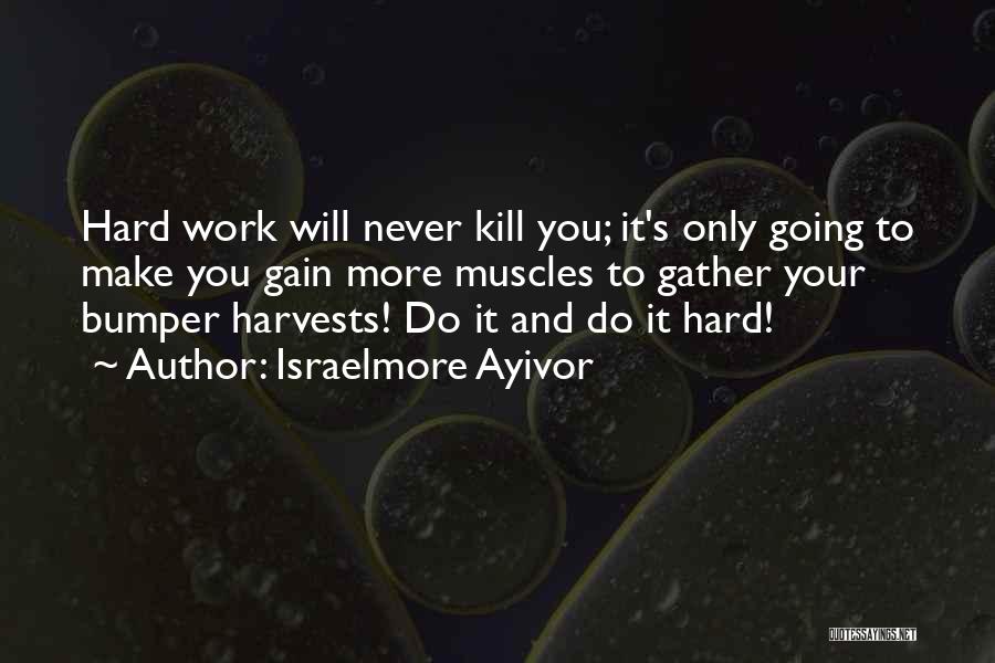 Israelmore Ayivor Quotes: Hard Work Will Never Kill You; It's Only Going To Make You Gain More Muscles To Gather Your Bumper Harvests!