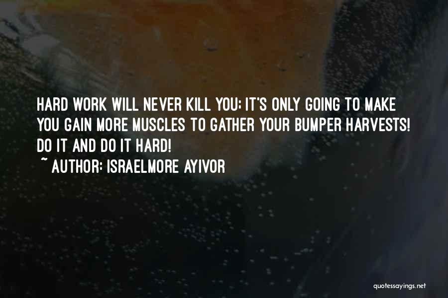 Israelmore Ayivor Quotes: Hard Work Will Never Kill You; It's Only Going To Make You Gain More Muscles To Gather Your Bumper Harvests!