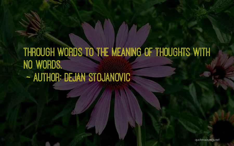 Dejan Stojanovic Quotes: Through Words To The Meaning Of Thoughts With No Words.