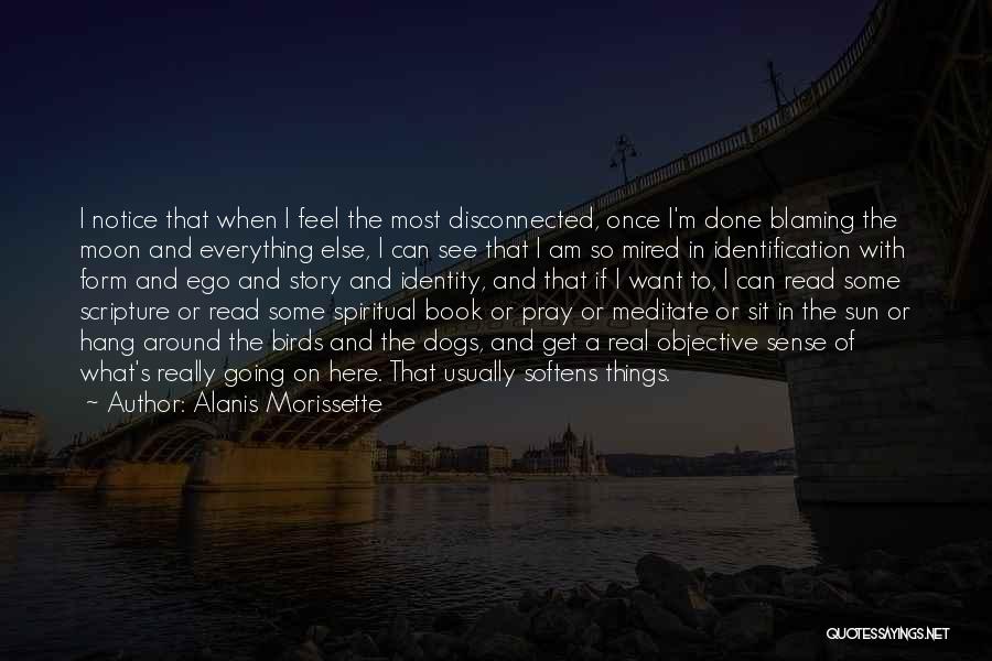 Alanis Morissette Quotes: I Notice That When I Feel The Most Disconnected, Once I'm Done Blaming The Moon And Everything Else, I Can