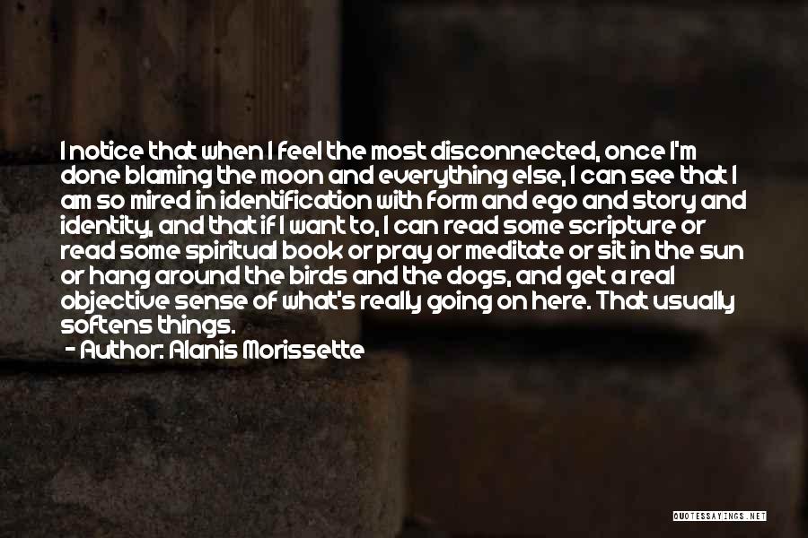 Alanis Morissette Quotes: I Notice That When I Feel The Most Disconnected, Once I'm Done Blaming The Moon And Everything Else, I Can