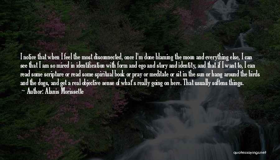 Alanis Morissette Quotes: I Notice That When I Feel The Most Disconnected, Once I'm Done Blaming The Moon And Everything Else, I Can