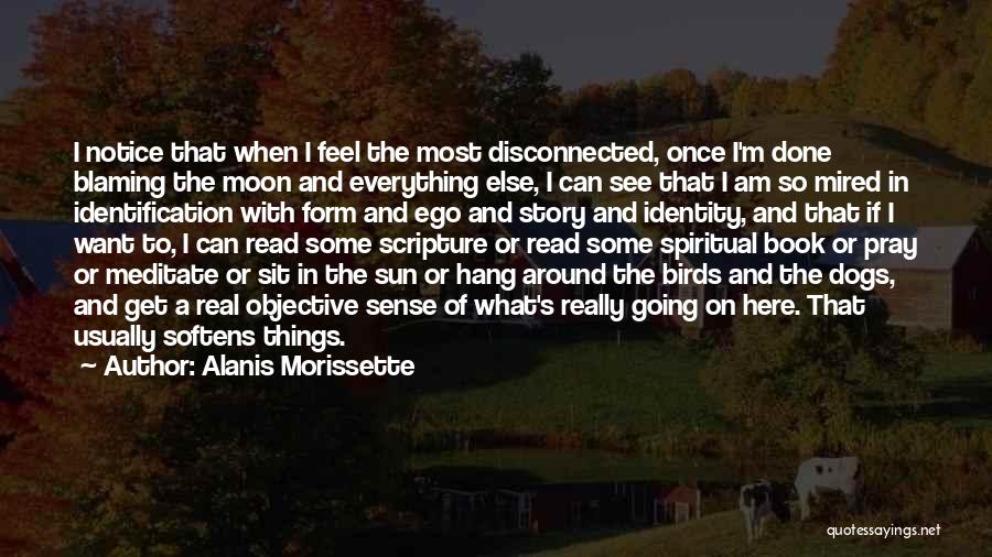 Alanis Morissette Quotes: I Notice That When I Feel The Most Disconnected, Once I'm Done Blaming The Moon And Everything Else, I Can