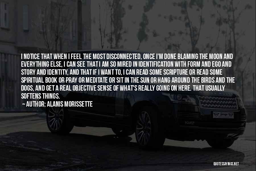 Alanis Morissette Quotes: I Notice That When I Feel The Most Disconnected, Once I'm Done Blaming The Moon And Everything Else, I Can