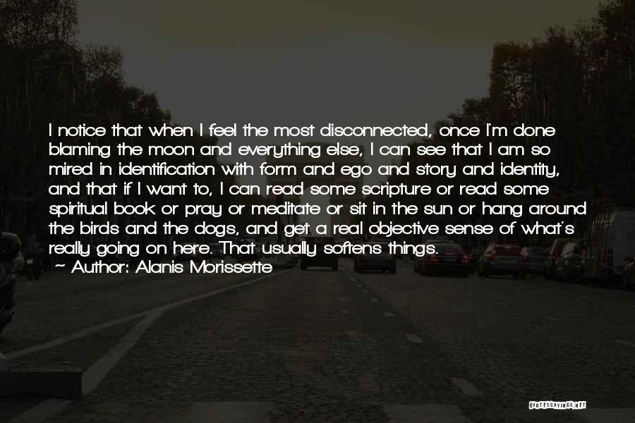 Alanis Morissette Quotes: I Notice That When I Feel The Most Disconnected, Once I'm Done Blaming The Moon And Everything Else, I Can