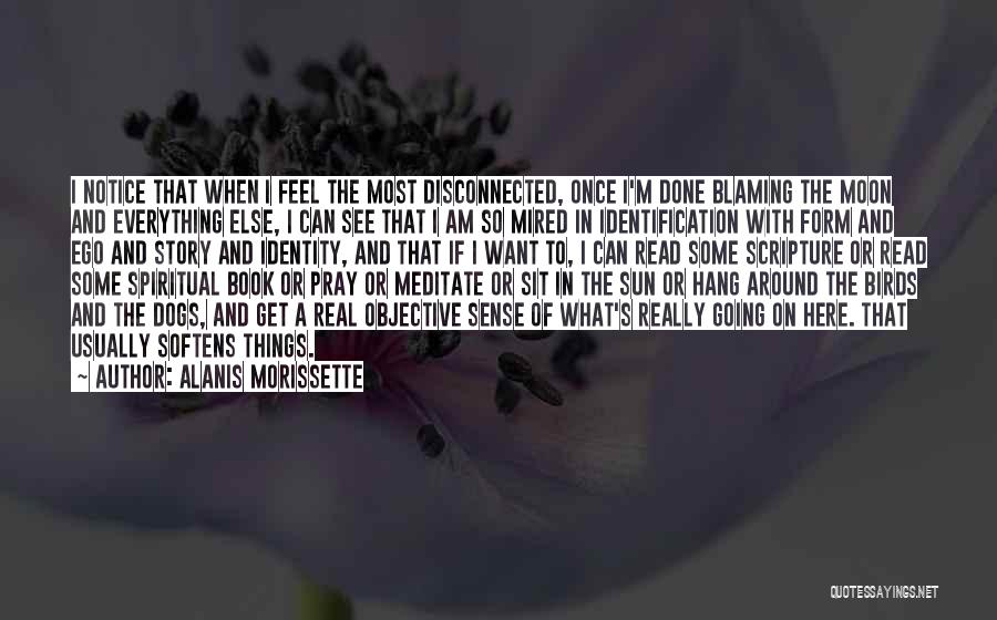 Alanis Morissette Quotes: I Notice That When I Feel The Most Disconnected, Once I'm Done Blaming The Moon And Everything Else, I Can