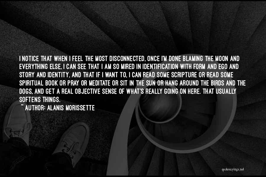 Alanis Morissette Quotes: I Notice That When I Feel The Most Disconnected, Once I'm Done Blaming The Moon And Everything Else, I Can