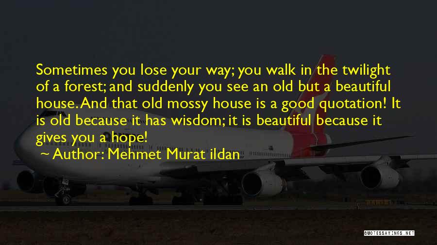 Mehmet Murat Ildan Quotes: Sometimes You Lose Your Way; You Walk In The Twilight Of A Forest; And Suddenly You See An Old But