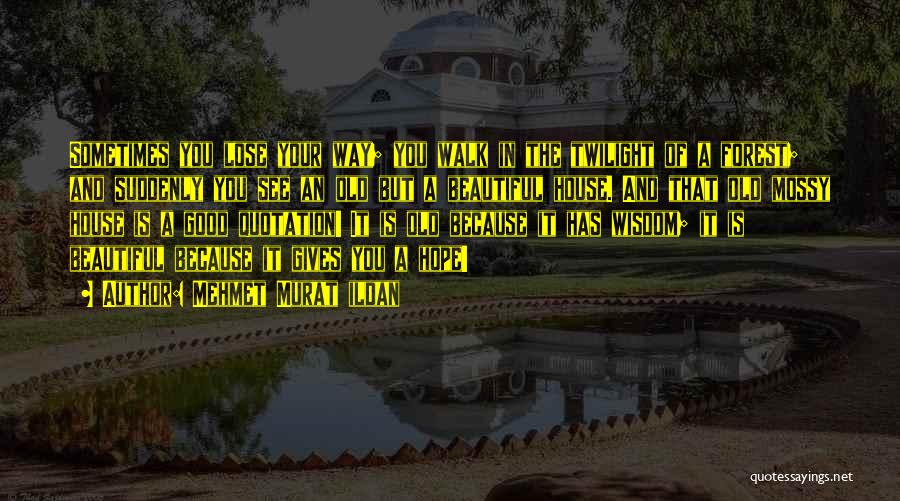 Mehmet Murat Ildan Quotes: Sometimes You Lose Your Way; You Walk In The Twilight Of A Forest; And Suddenly You See An Old But