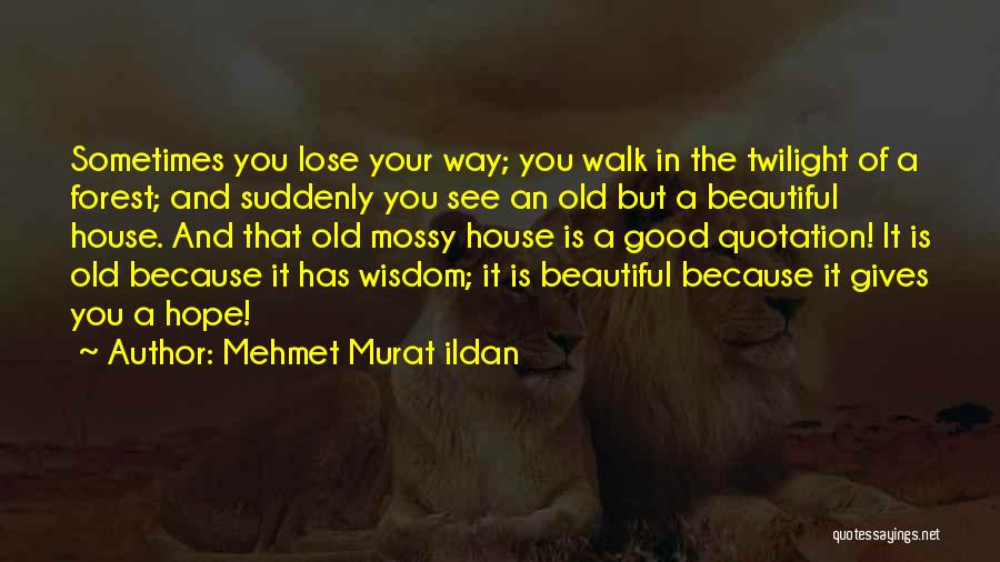 Mehmet Murat Ildan Quotes: Sometimes You Lose Your Way; You Walk In The Twilight Of A Forest; And Suddenly You See An Old But