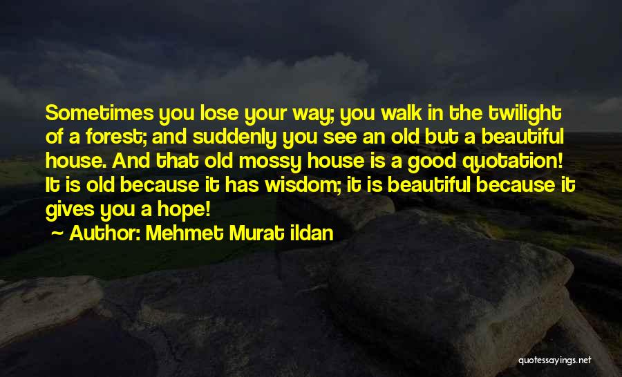 Mehmet Murat Ildan Quotes: Sometimes You Lose Your Way; You Walk In The Twilight Of A Forest; And Suddenly You See An Old But