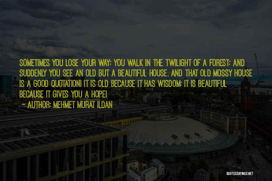 Mehmet Murat Ildan Quotes: Sometimes You Lose Your Way; You Walk In The Twilight Of A Forest; And Suddenly You See An Old But