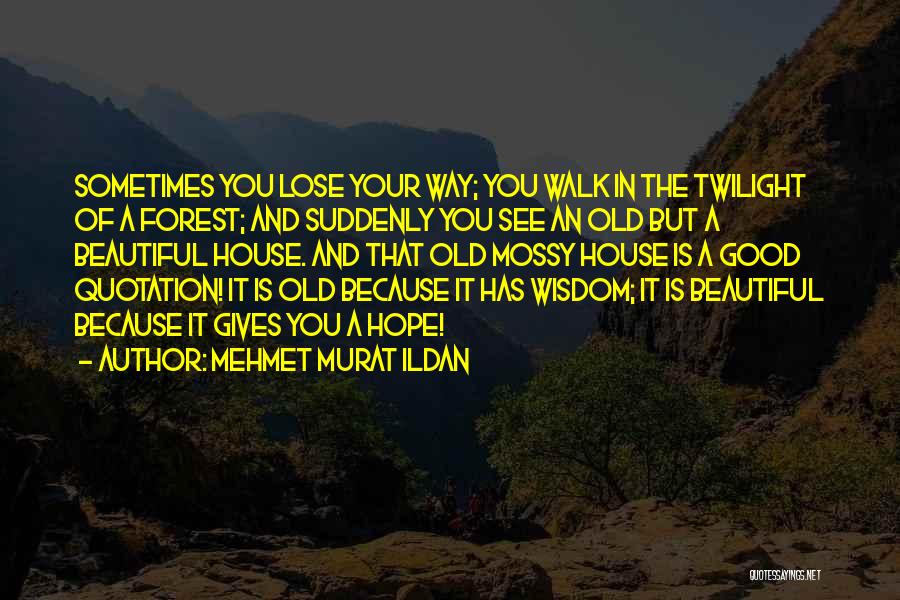 Mehmet Murat Ildan Quotes: Sometimes You Lose Your Way; You Walk In The Twilight Of A Forest; And Suddenly You See An Old But